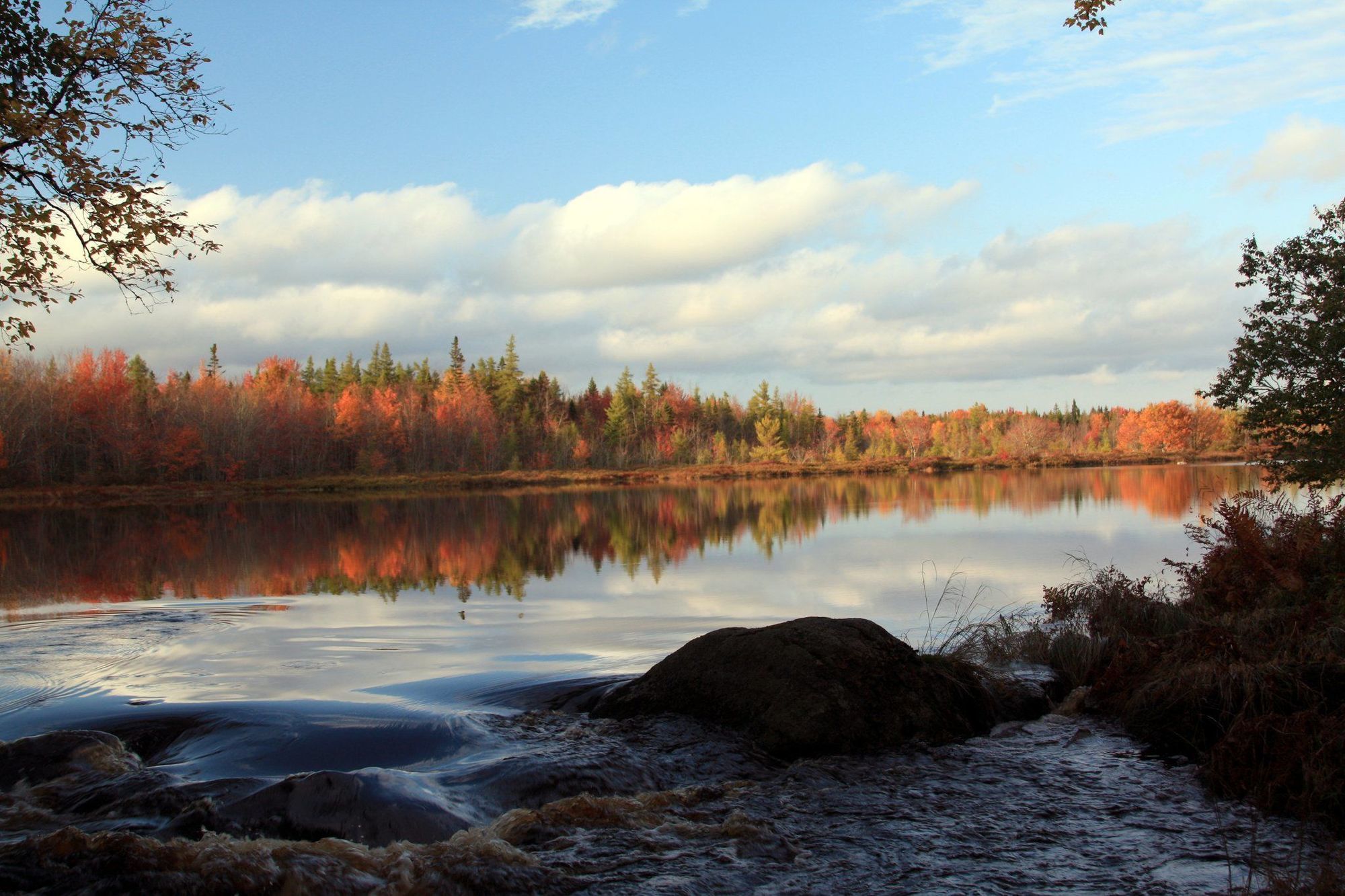 Trout Point Lodge Of Nova Scotia East Kemptville Facilités photo