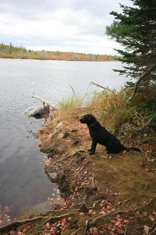 Trout Point Lodge Of Nova Scotia East Kemptville Extérieur photo